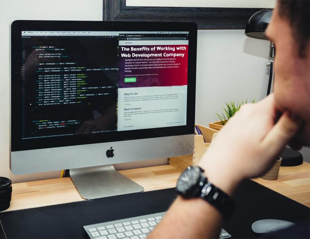 مزايا التعاون مع شركة لتطوير مواقع الويب